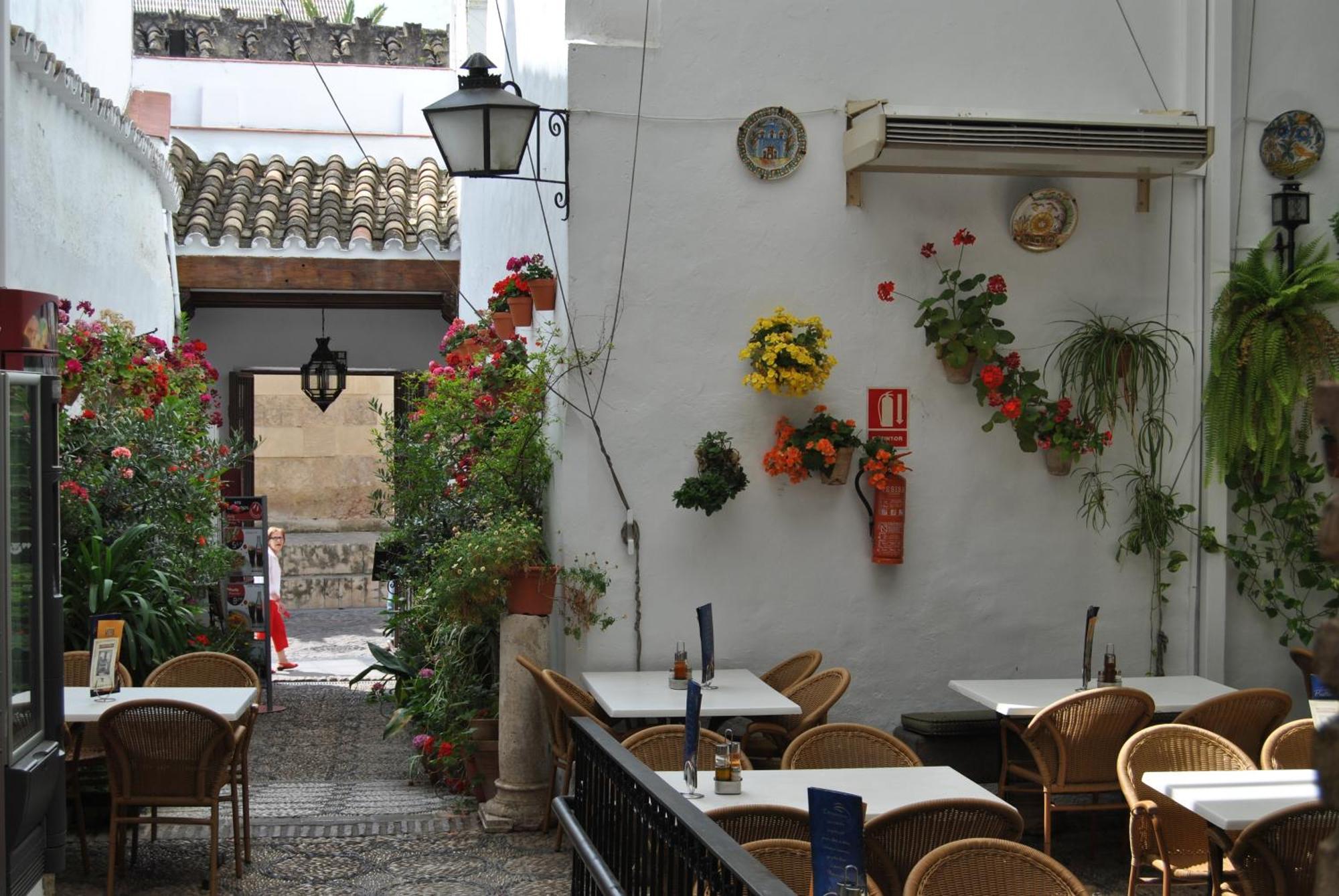 Los Patios Κόρδοβα Εξωτερικό φωτογραφία
