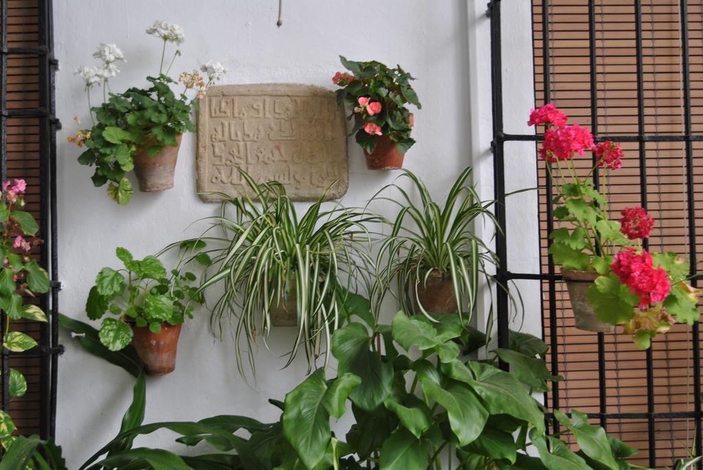 Los Patios Κόρδοβα Εξωτερικό φωτογραφία