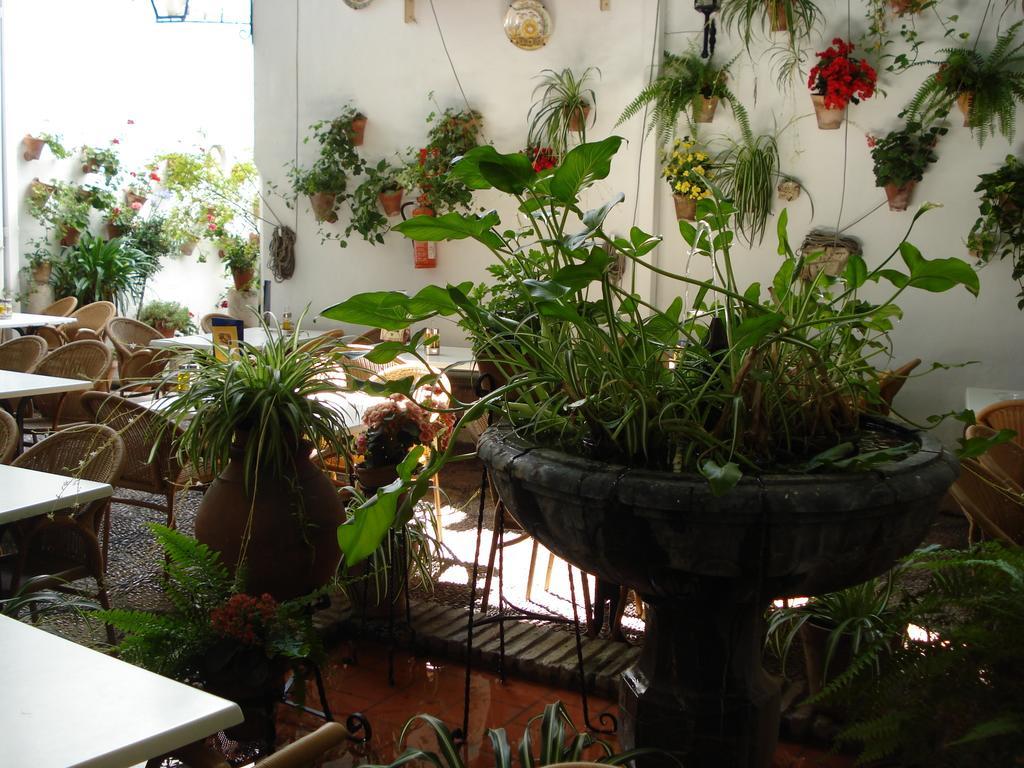 Los Patios Κόρδοβα Εξωτερικό φωτογραφία